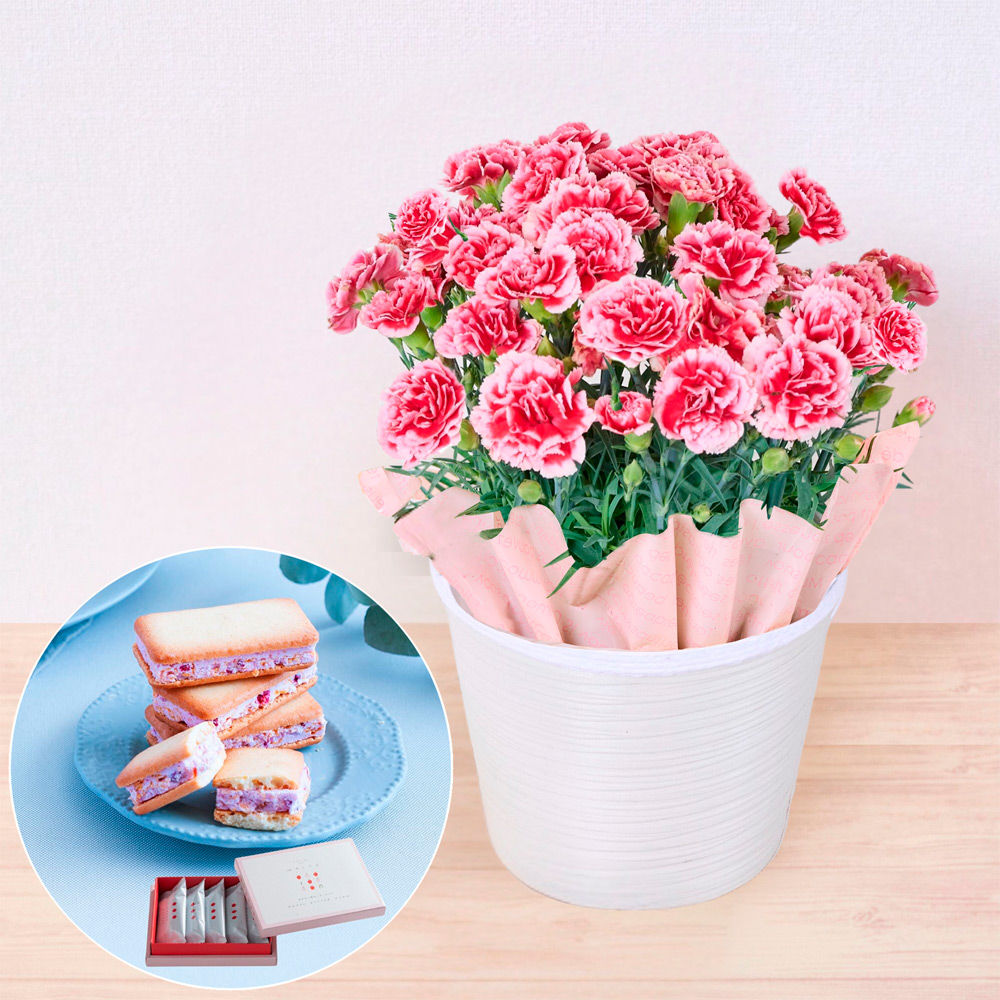 【母の日】生花　カーネーションとあまおうバターサンド